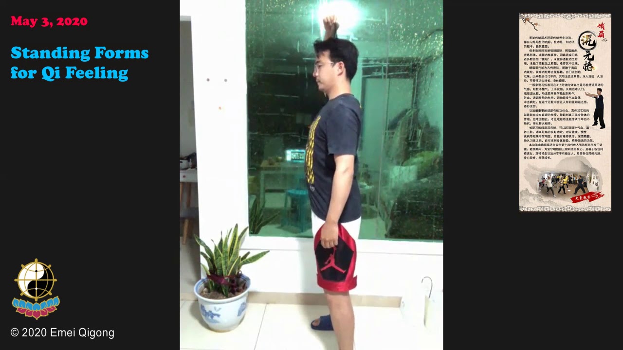 Emei Qigong - Standing Forms for Qi Feeling 1/2 - May 3, 2020