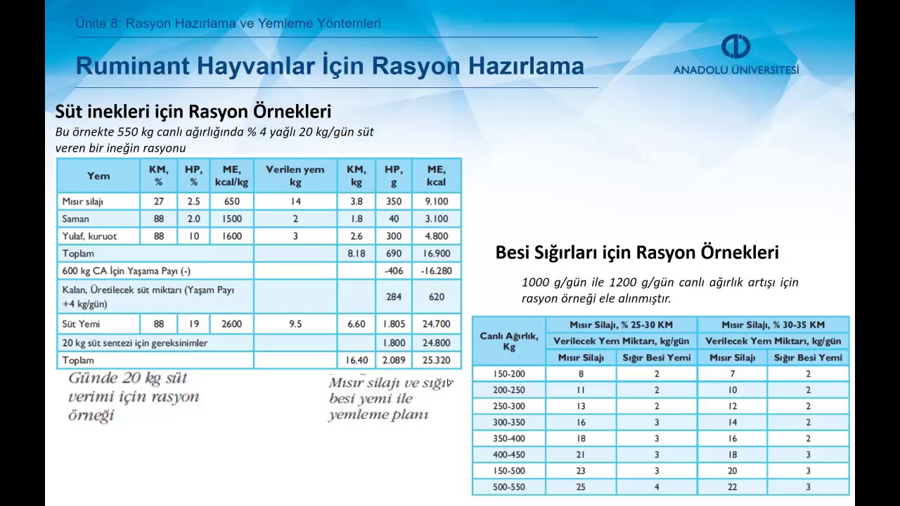 HAYVAN BESLEME - Ünite 8 - Ünite Özet