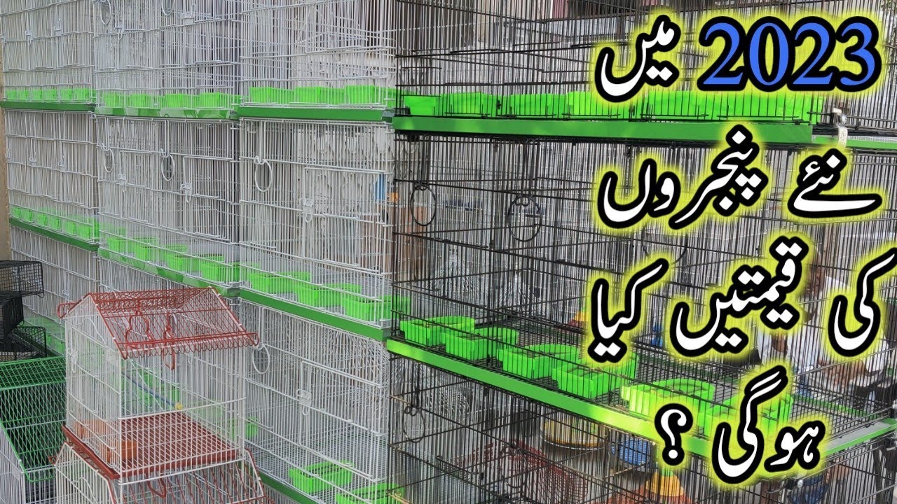 New Cage's Price Update for 2023 ||Cage Shop in karachi ||How To Make cages ||B4BIRDS