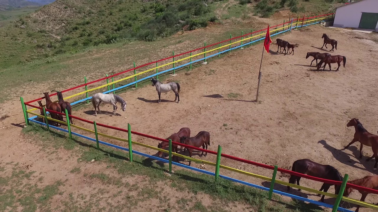 Busy morning/ Caravan Horse Riding Albania /Asim Zeneli Gjirokaster