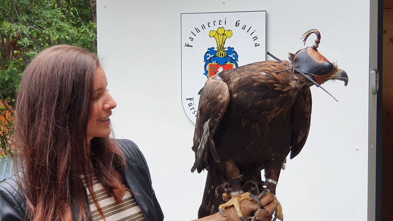 Tina Weirather besucht Falkner Norman Vögeli