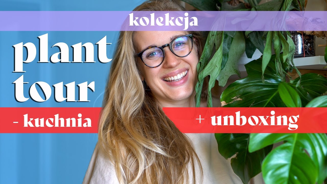 🔪 Roślinna kuchnia - plant tour | unboxing paczki od widzki