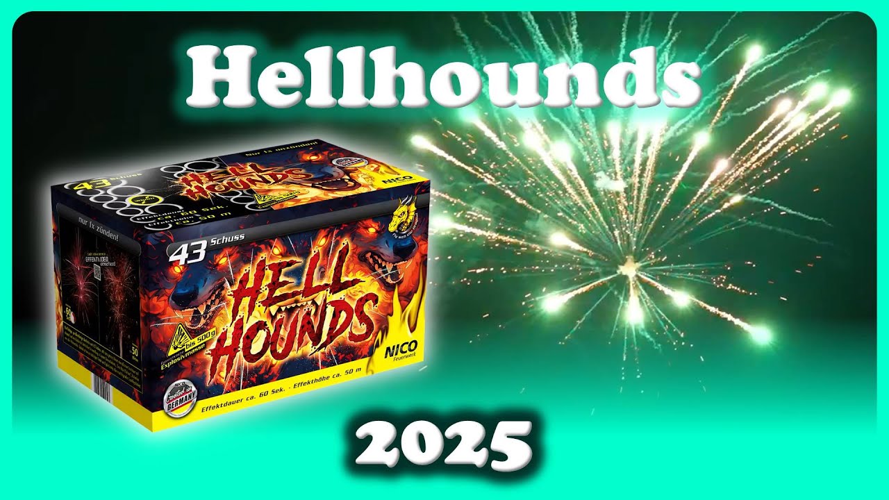 NICO HELLHOUNDS BATTERIE 💥 | 22,99€ Aldi Nord 🔥 | Silvester 2025/2026