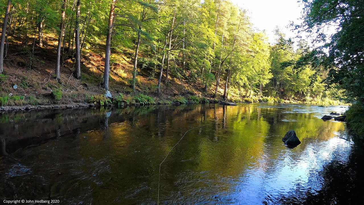 The year 2020 - A time for contemplation. Fly fishing for salmon and sea trout in the River Mörrum.
