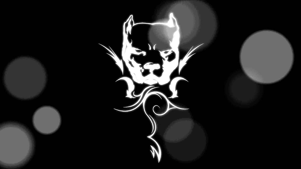 Raptile - Go Faster