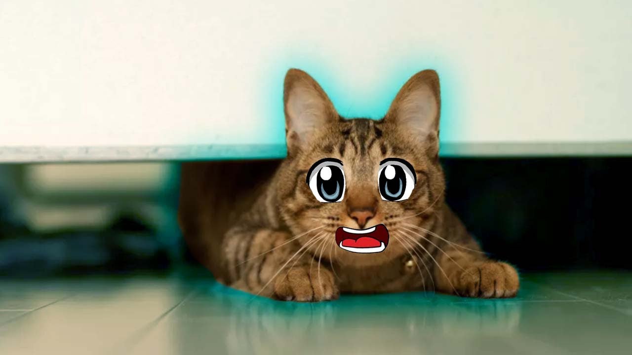 Tom s-a pișat de FRICĂ 😱