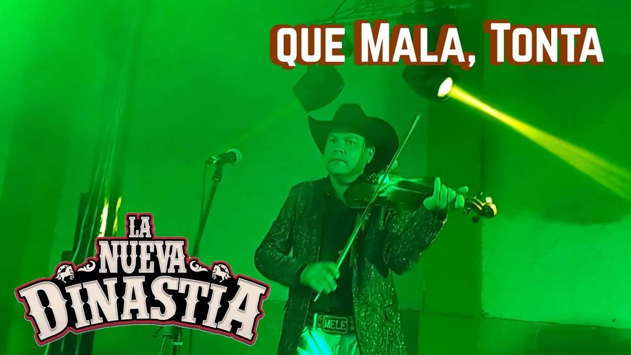 La Nueva Dinastía ( Que Mala , Tonta)