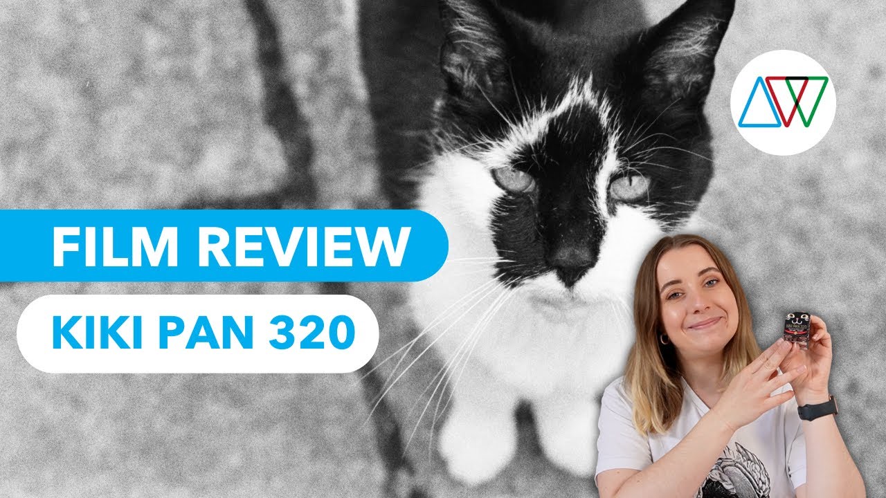 KIKI PAN 320- Cattastic fun! 🐈‍⬛