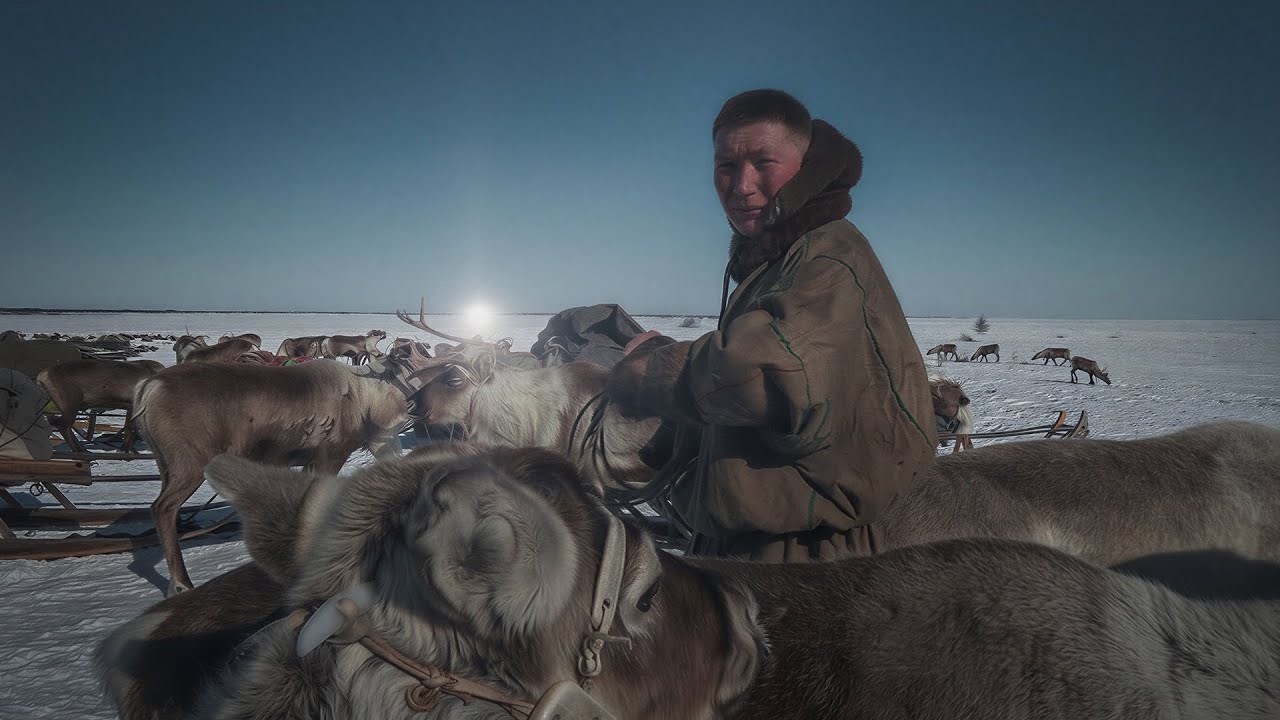 Ясавэй. Кочевник ХХI века | Молодёжь в оленеводстве. Оленеводы ХХI века