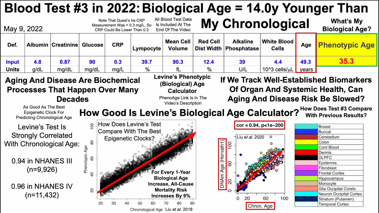 Quantifying Biological Age: Blood Test #3 in 2022