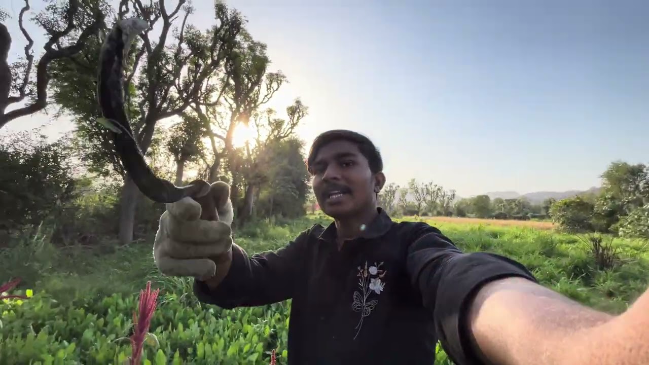 Aje Tejal Kona Ghau Kadhava Gai😱? || Rakesh ne Aaje Chetryo🥱? || Rakesh Thakor Vlogs 