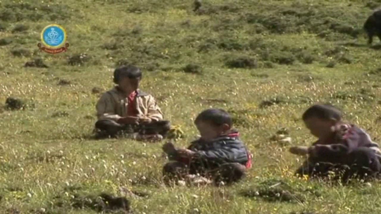 Tibetan song 2011   Friend by Black Land Band   YouTube