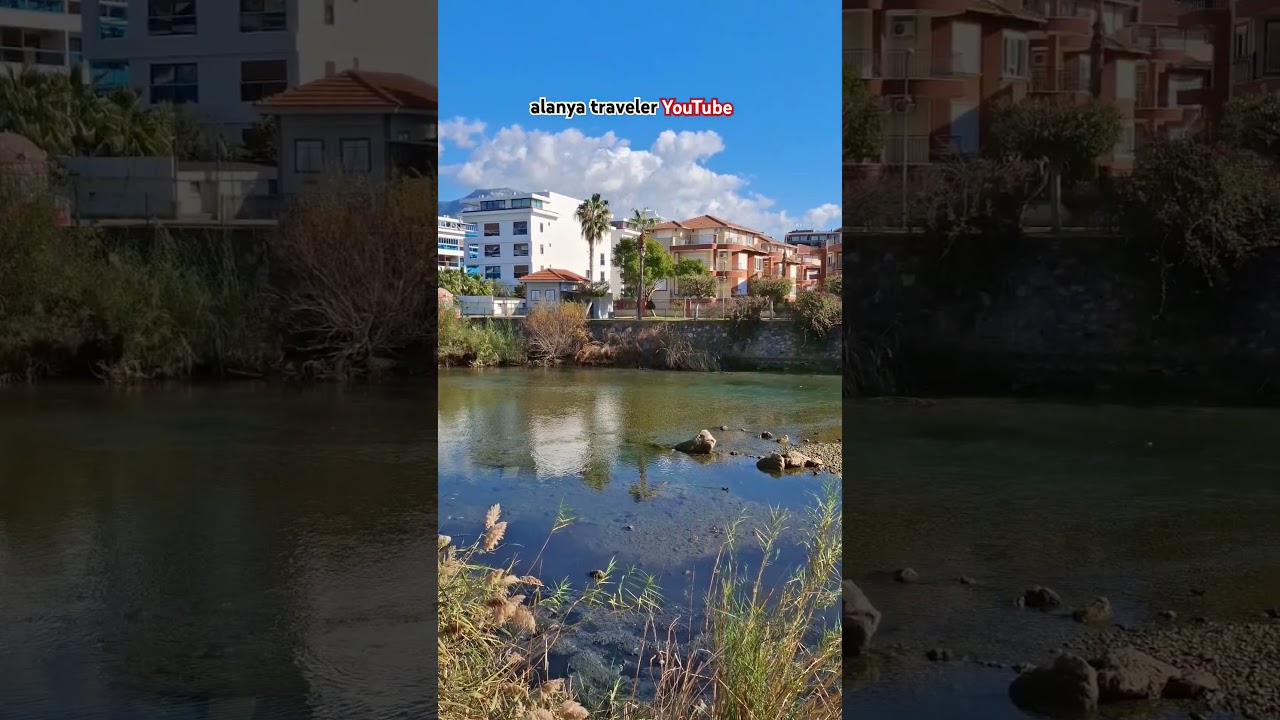 🇹🇷 Alanya Dim &Ccedil;ayı Coastal Road Walking Tour - December 20, 2024 #alanyatraveler #dim&ccedil;ayı #alanya