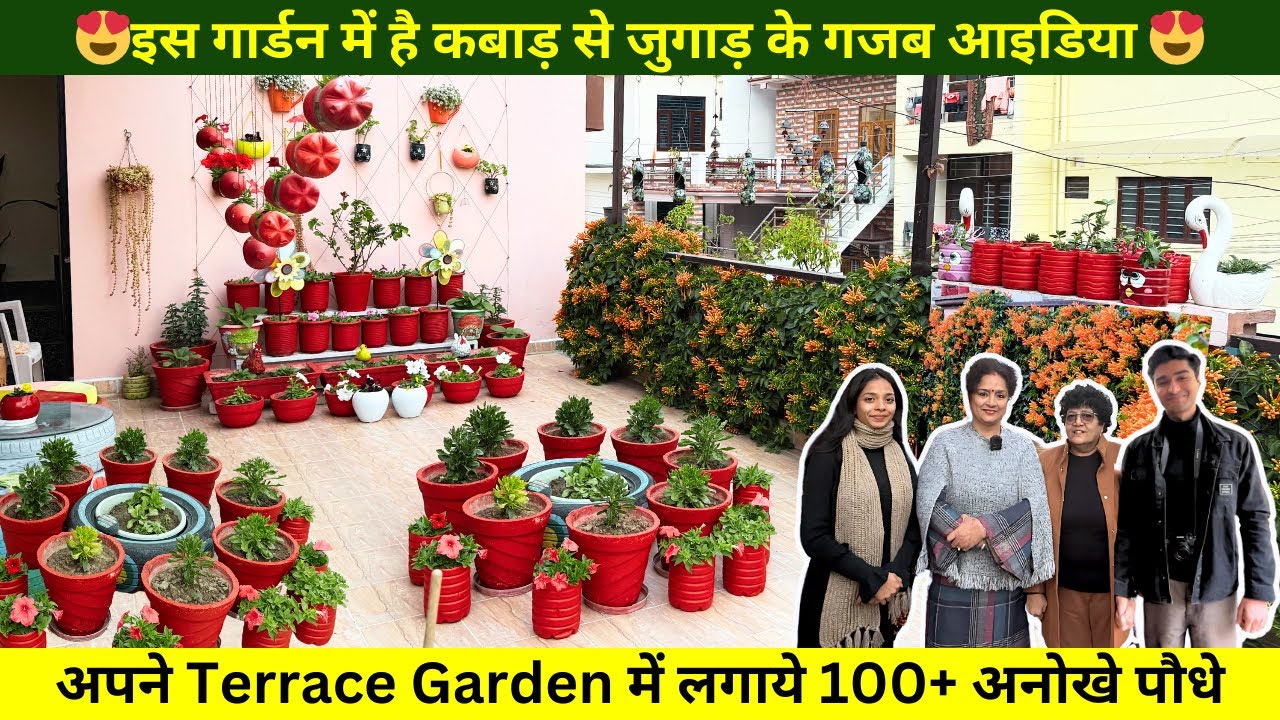 इस गार्डन में है कबाड़ से जुगाड़ के गजब आइडिया 😍अपने Terrace Garden में लगाये 100+ अनोखे पौधे