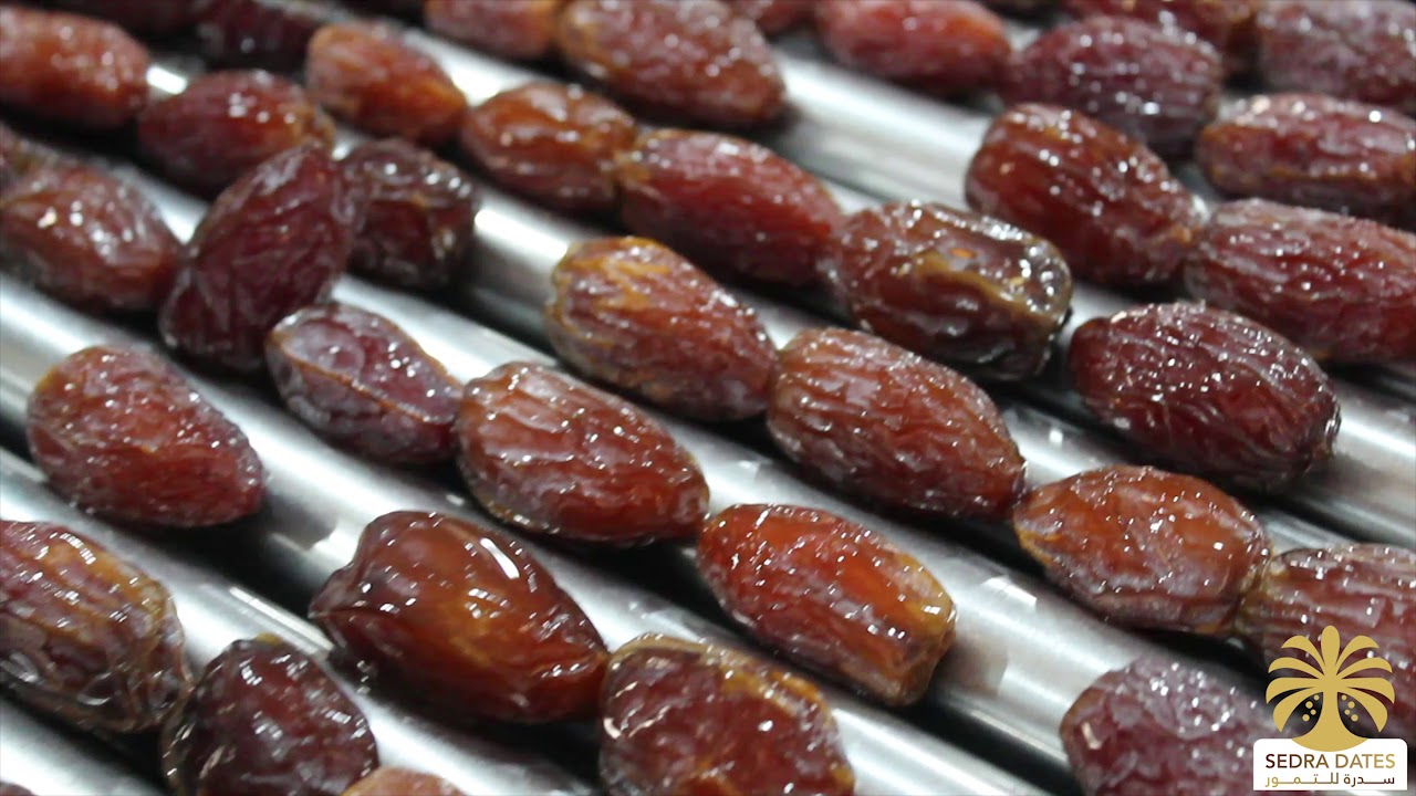 sedra dates