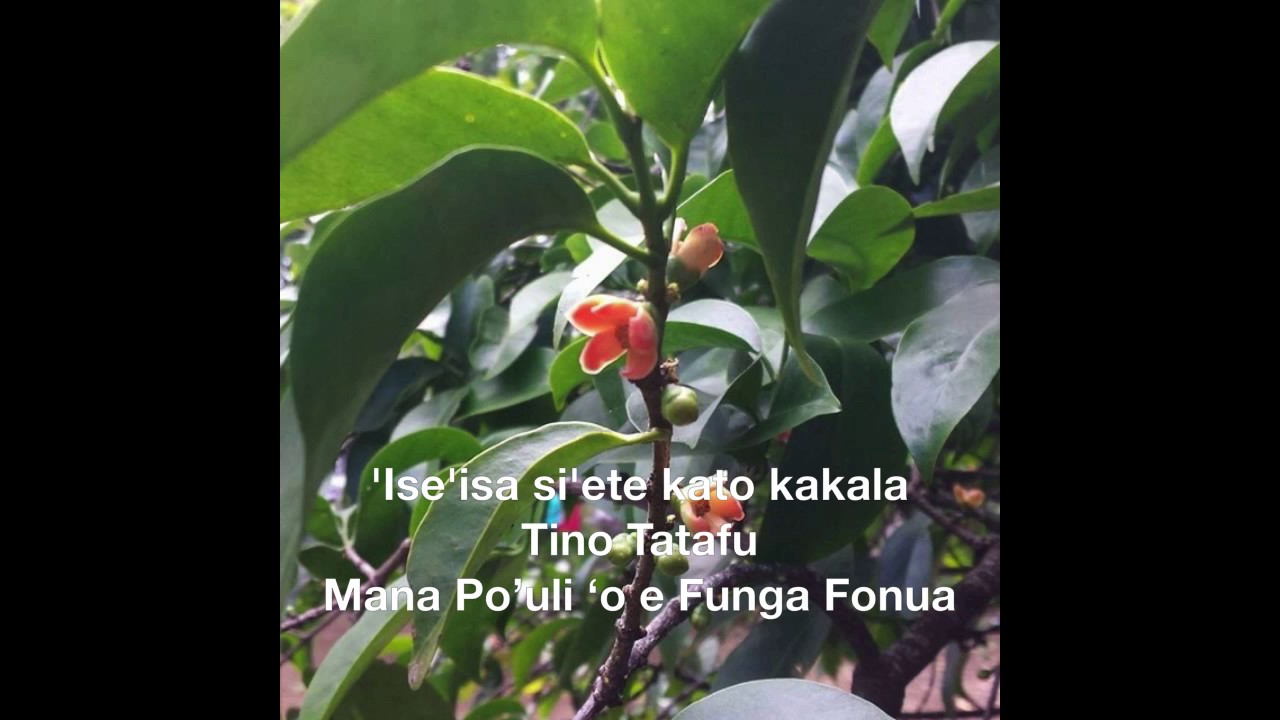 Hiva FakaTonga.