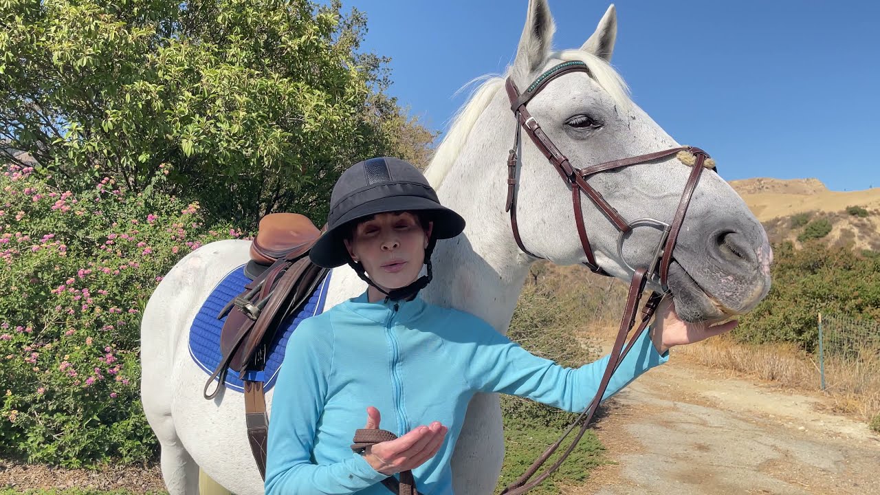 Meet Kim Weeks Bronson, Creator of EquiVisor&reg;
