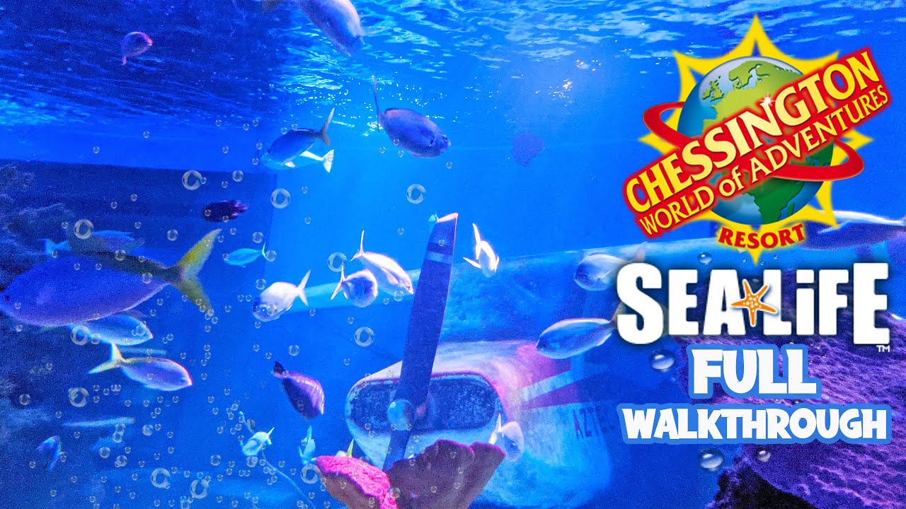 Sea Life Centre at Chessington World of Adventures (July 2022) [4K]