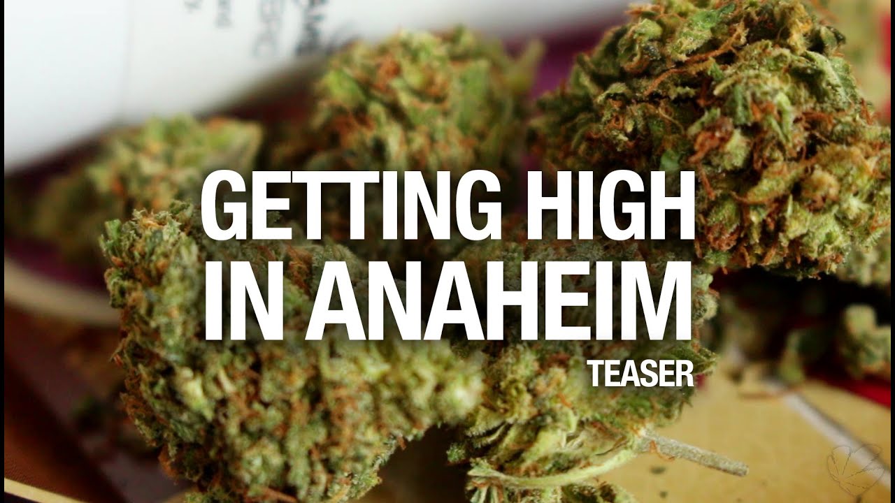 Getting High in Anaheim Teaser