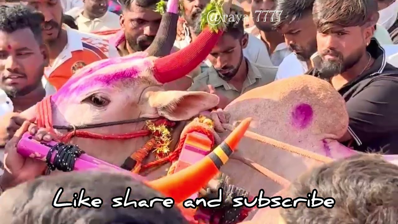 Fortuner Maidan | Pai Chandrahar Patil | Shrinath Kesari 2025