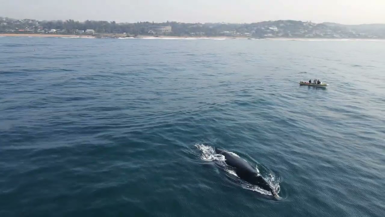 Ballito KZN Dolphin Coast South Africa