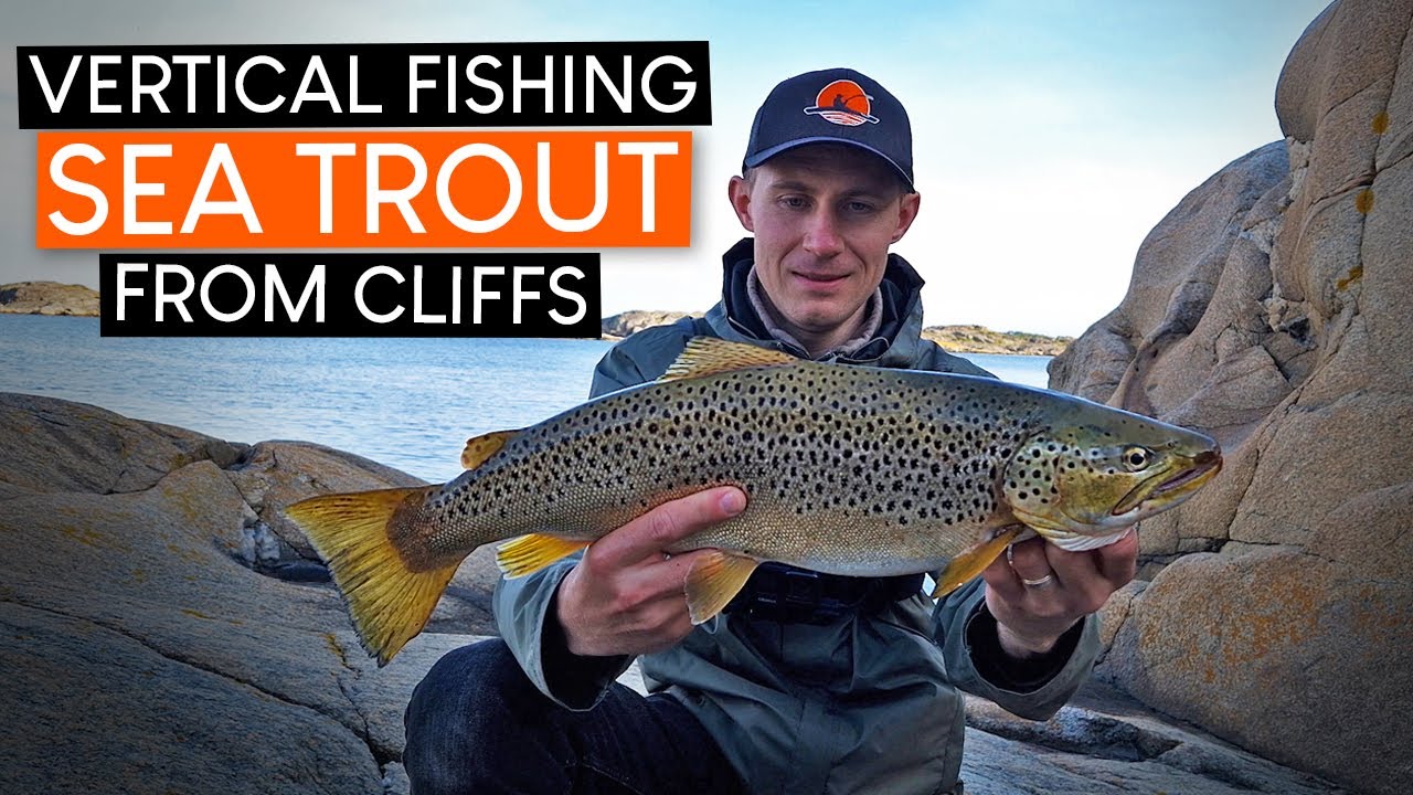 NO ONE believed me! Sea trout on VERTICAL FISHING from the shore!