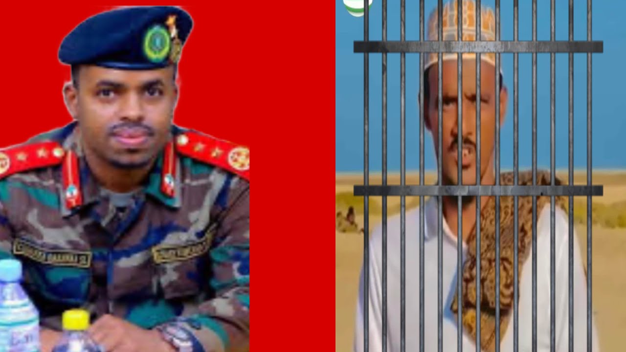 NIN SAYLAC LAGA SOO XIDHAY OO LOO XIDHAY ADOO SAMAROONA MAXAAD CIYAARAHA SAYLAC UFURTAY YAAB,