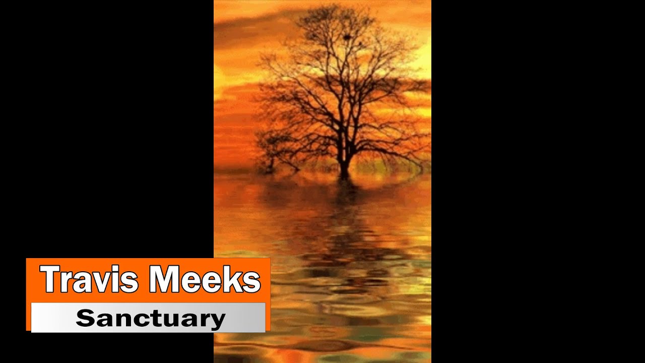 Travis Meeks (Days of the New) - Sanctuary