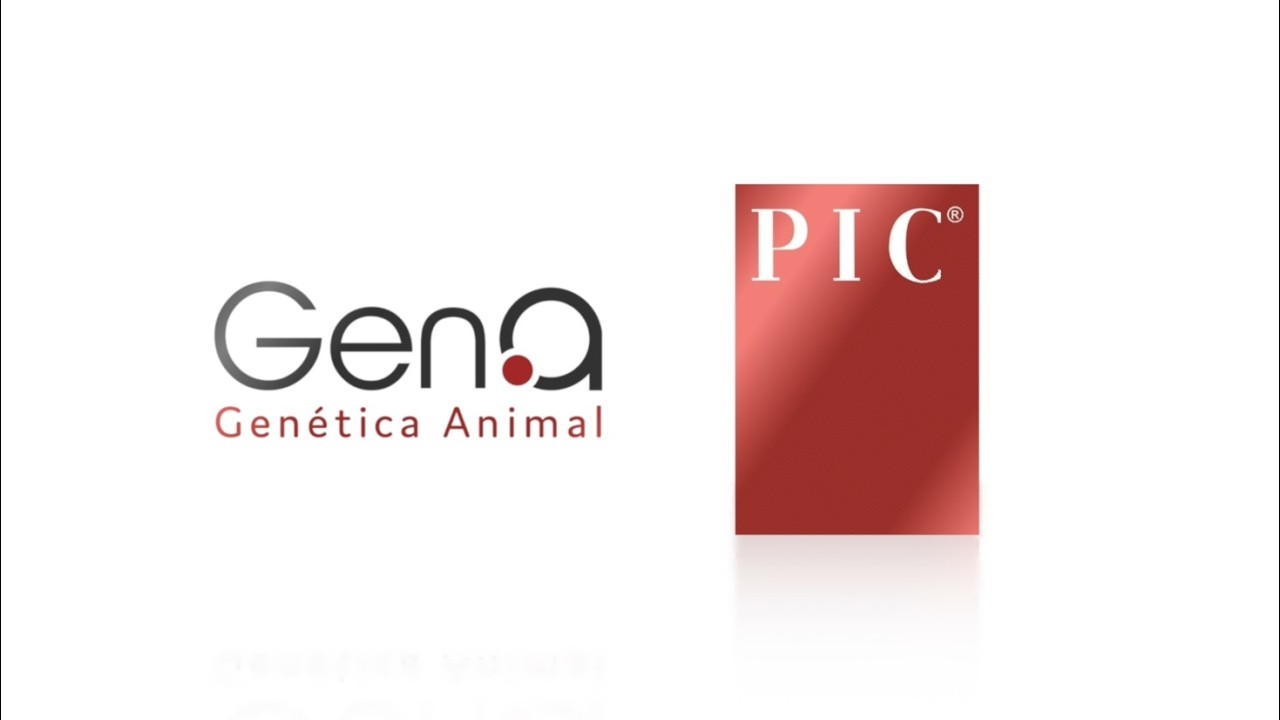 GENA PIC - V&iacute;deo Institucional