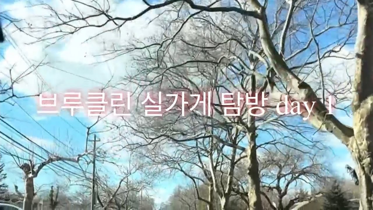 브루클린 실가게 탐방 day 1