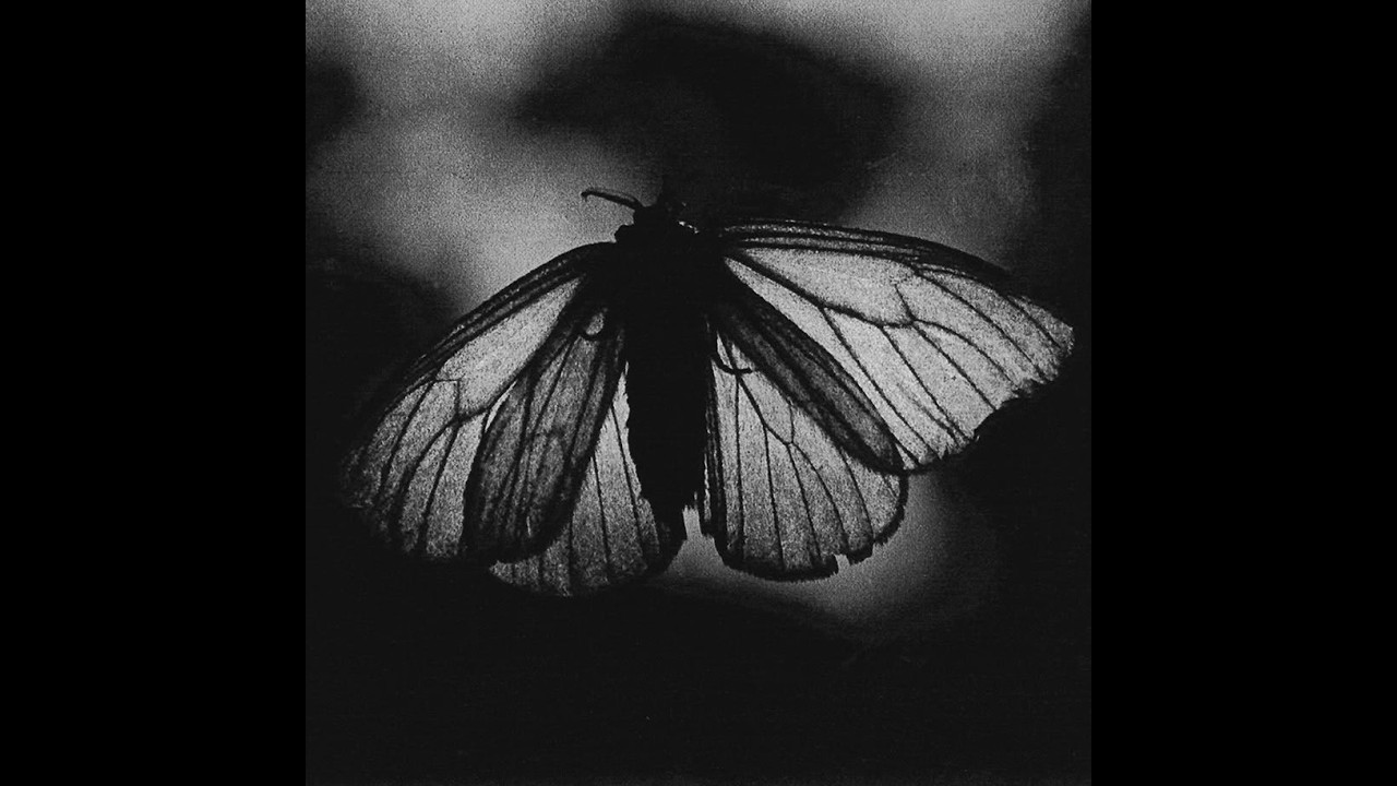 [FREE FOR PROFIT] Metalcore + Heavy Shoegaze + Metal type beat 
