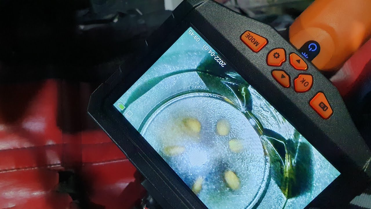 M8 2020 with 35k km check up (part 2)