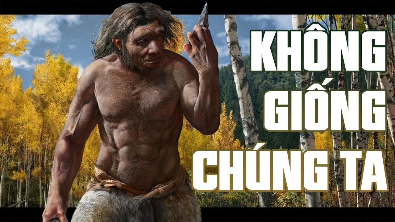 Người Neanderthal Là Những Tuyệt Tác Tiến Hóa