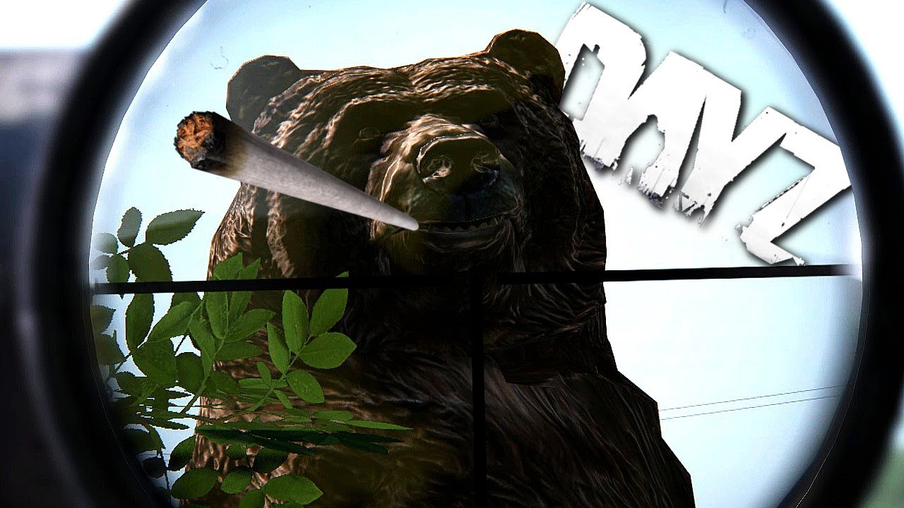 Fun team up on the New Map Azalea. Then Chernarus PVP and Adventure!