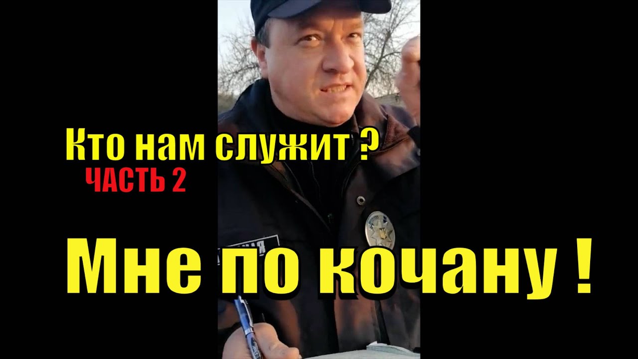 ПОЛИЦИЯ КОТОРОЙ ПО КОЧАНУ. КАРАТИСТ В ДЕЛЕ. ЧАСТЬ 2.