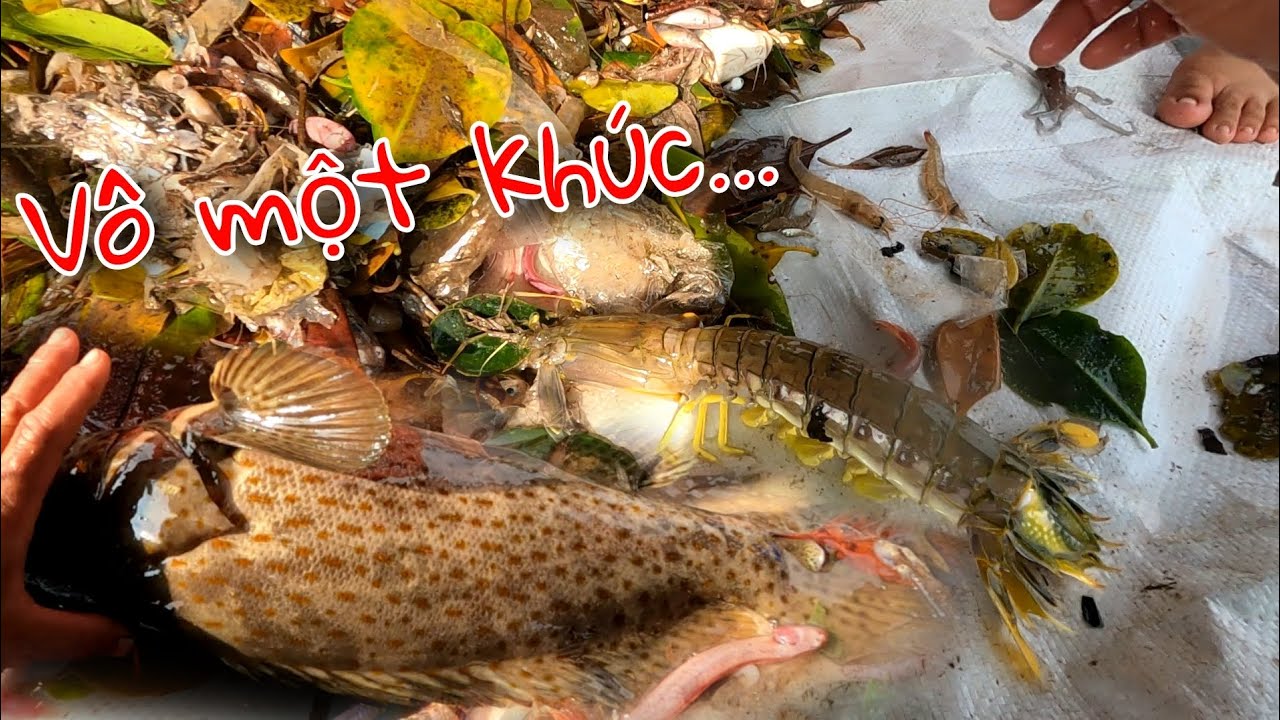 Tháo mẻ đáy kiếm tiền triệu vô toàn hải sản đắc giá | GĐCG #1045