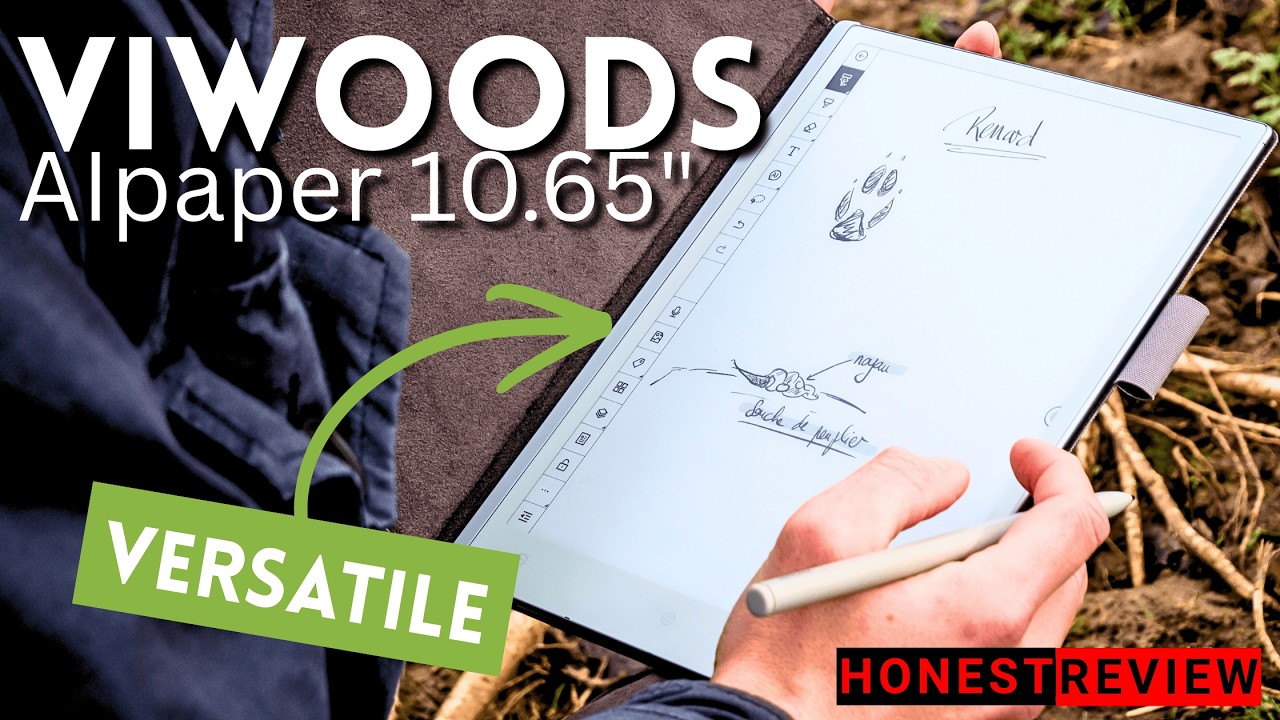 Viwoods AiPaper 10.65