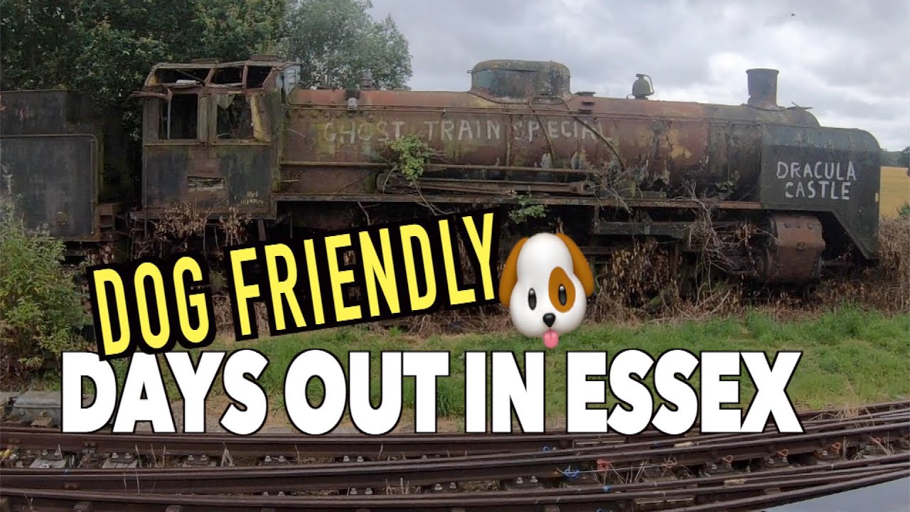 Dogs friendly place to visit in Essex, England