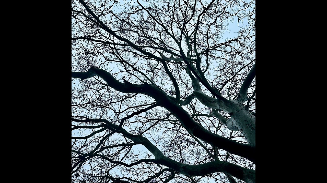 escape from november