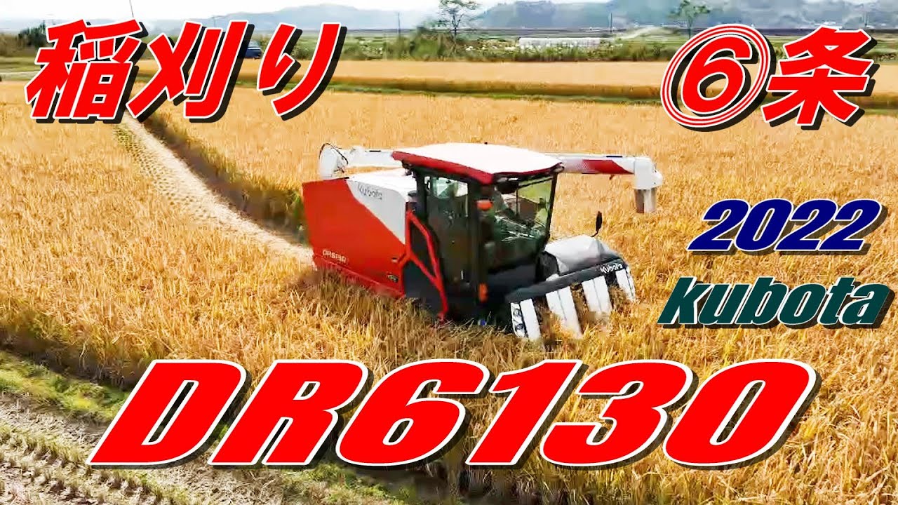 DR6130 稲刈り　クボタ　コンバイン　4ｋ画質