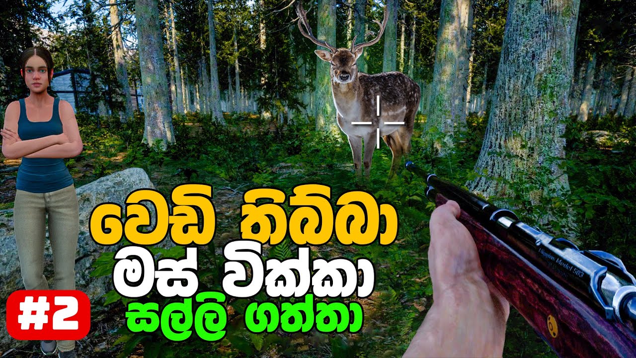 I hunt animals in Evergreen Mountain Life Simulator PC gameplay #2