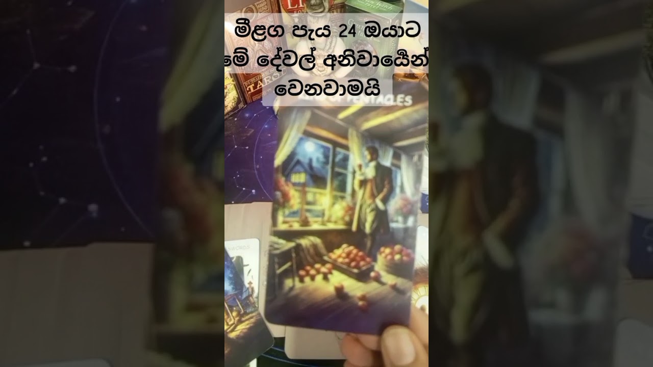 මීළග පැය 24 ඔයාට මේවා  අනිවාර්‍යෙන්  වෙනවාමයි#tarotreading #viral #tarot #ppp# 