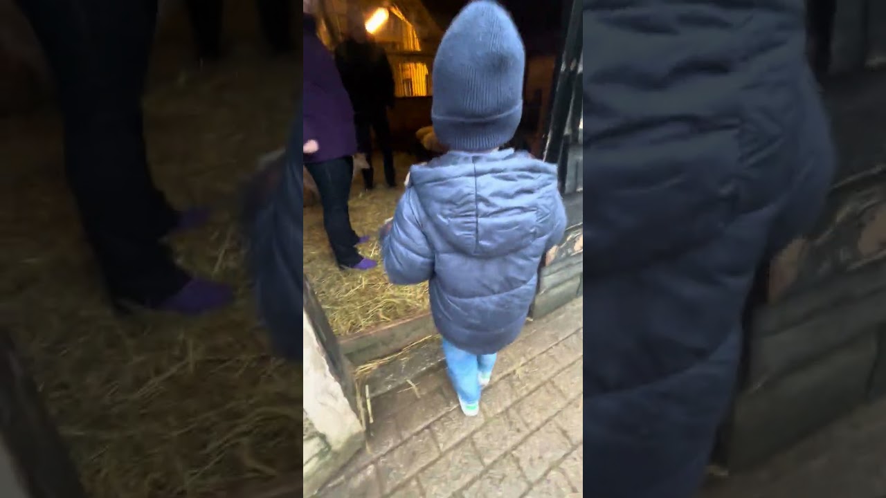 Jack en Matthieu op de kinderboerderij