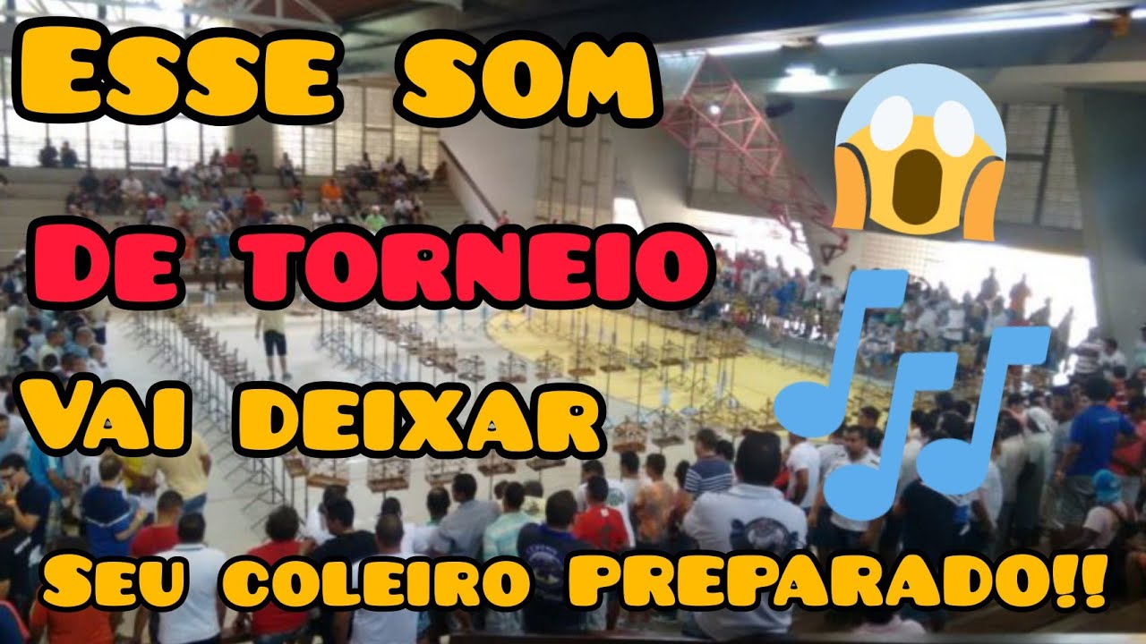Som de torneio para treinar seu coleiro