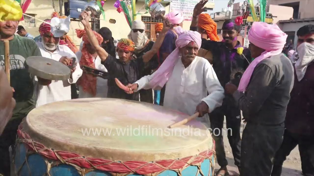 Holi celebration in Phalain village and powerful beats of the big dhol creating an atmosphere of joy