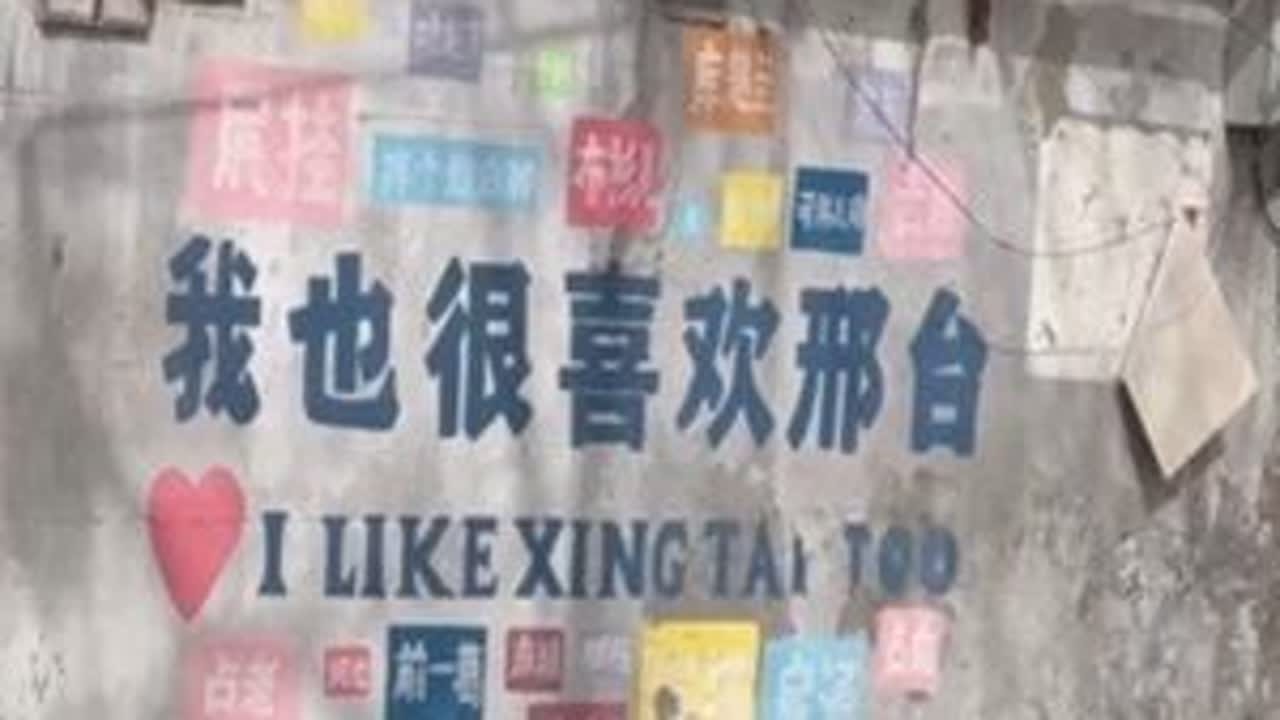 开往春天的火车——让这列穿越时光的绿皮车厢，载你驶向邢襄大地的诗与远方。  #太行泉城美丽邢台 #开往春天的火车