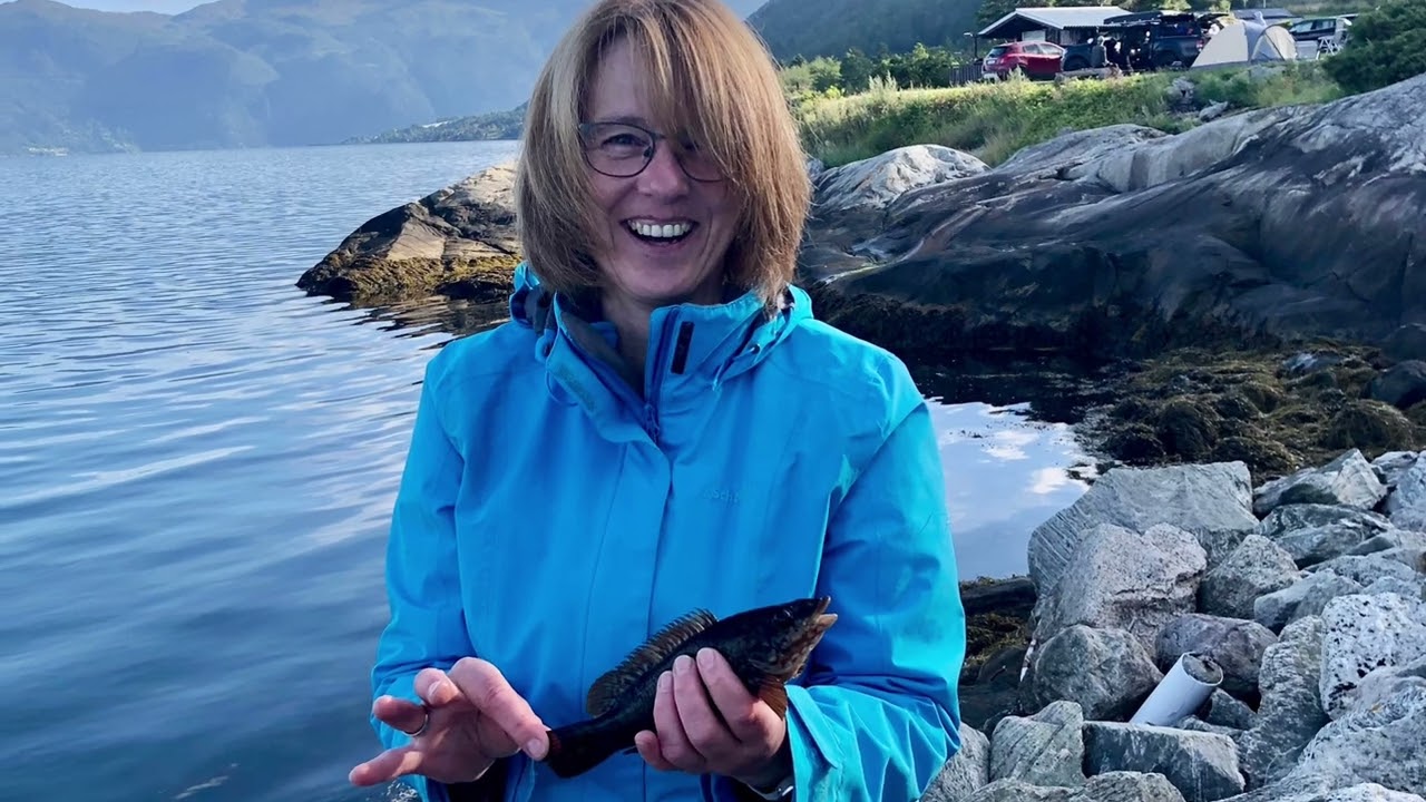 Norwegen Reise 2022 im Ford Nugget