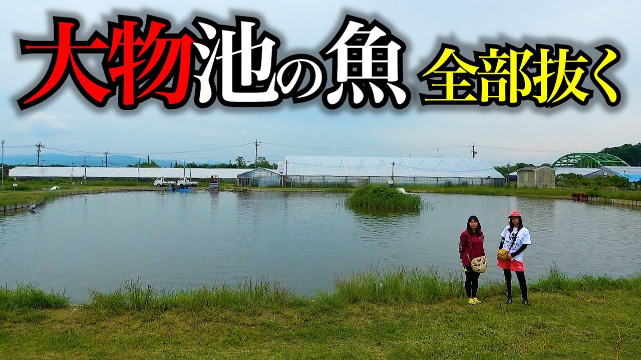 釣り堀の池の魚ぜんぶ抜いてみたら大型の◯◯だらけだった！！！！