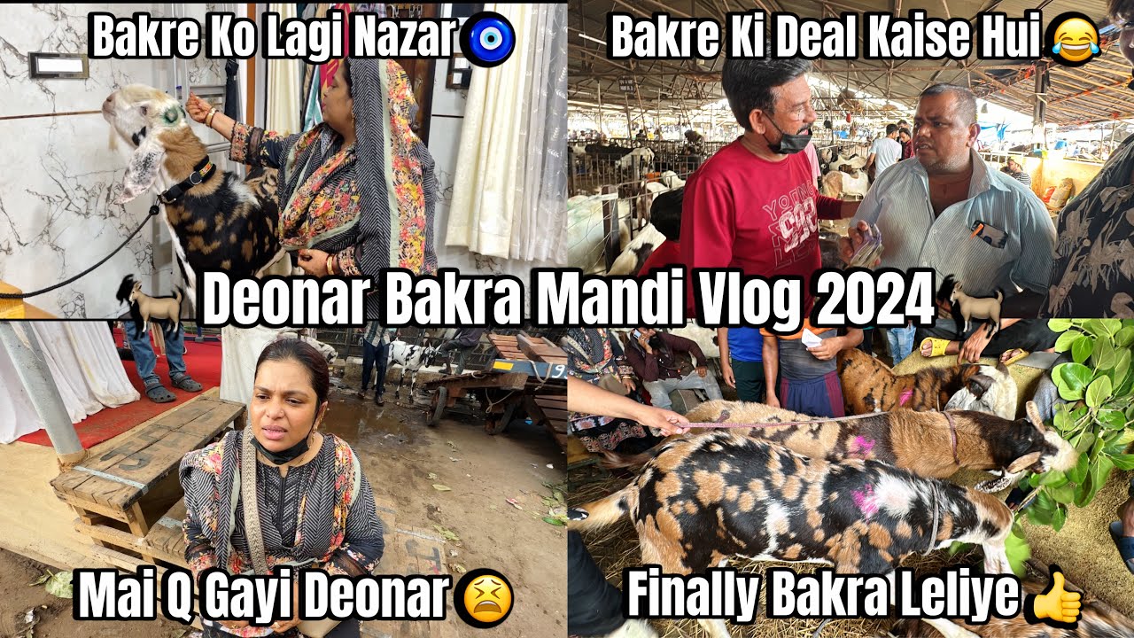 Deonar Bakra Mandi Vlog 2024🐐 | Bakre Ko Lagi Nazar🧿 | Mai Q Gayi Deonar😫 | Finally Bakra Leliye👍