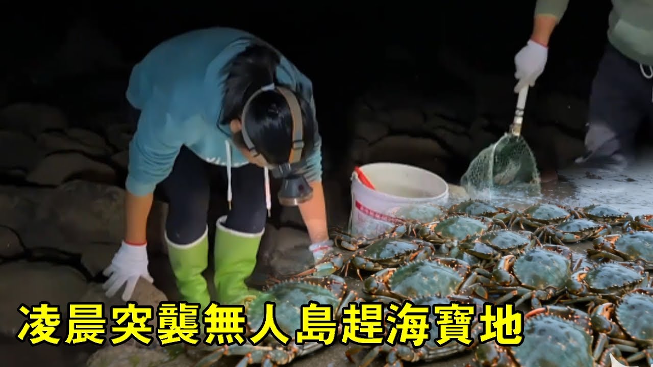 小漁凌晨突襲無人島趕海寶地！滿桶海鮮到手，這一夜沒白熬【漁小仙】